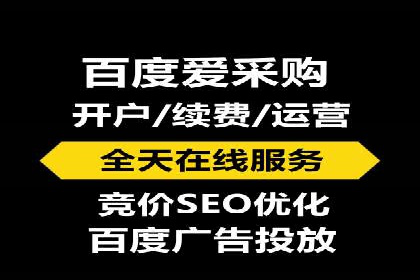 互联网公司SEM代运营成功案例剖析